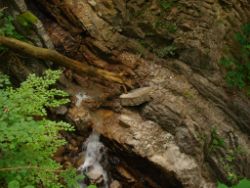 2013-07-20_Regina-F-Rau_Kochel-Rabenkopf (061).JPG